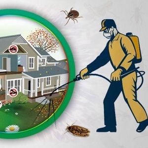 Meet your Posher, Edson